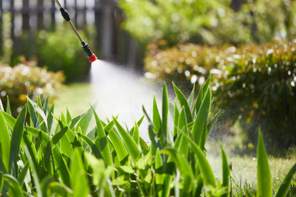 24/7 Emergency Mosquito Control experts in Honaunau-Napoopoo, HI